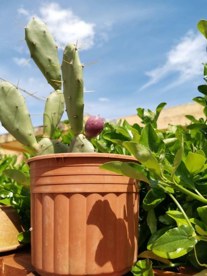 B&B Scogli Bianchi Lido di Noto 외부 사진